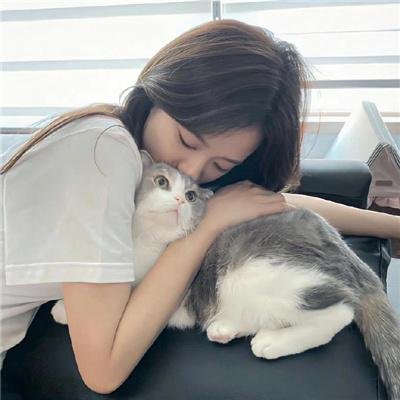 百科全说
