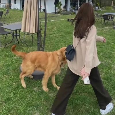 半步崩拳